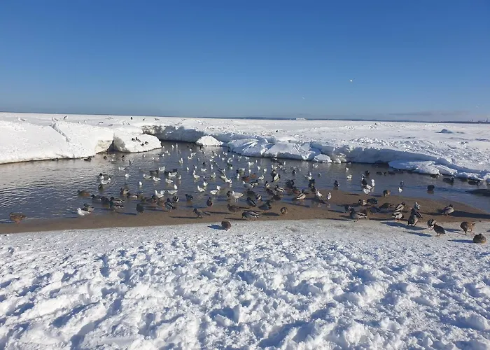 Bootshaus Usedom شقة Karlshagen