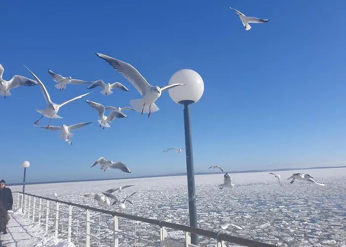 Bootshaus Usedom * Karlshagen